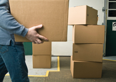 239017-professionally-trained-movers