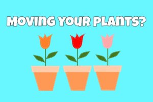 movingplants