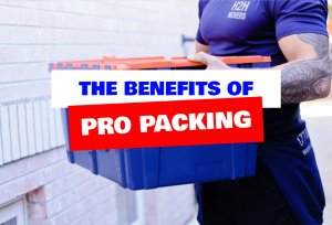 A Guy Carrying A Moving Box