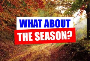 With H2H Movers your moving experience will be easier