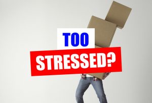 Chicago Moving Services by H2H Movers