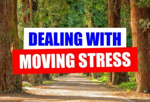 Moving hacks for a stress-free relocation - H2H Movers