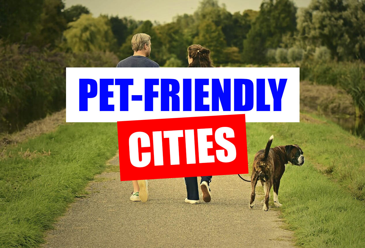 With H2H Movers you can move to any city in the States