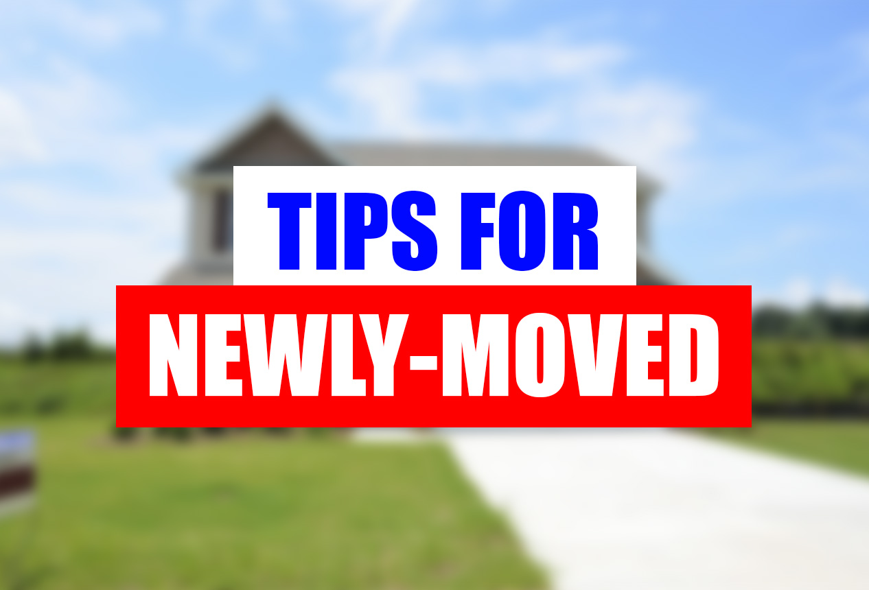 Professional Movers in Chicago area