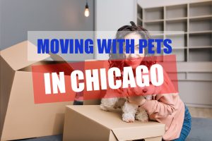 Move to Chicago with H2H Movers company
