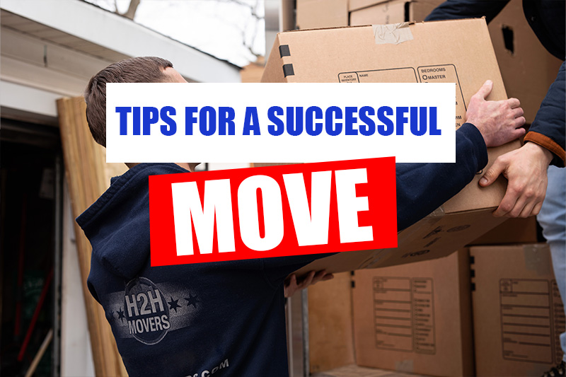 Chicago's Skyline Secrets Insider Tips for a Successful Move